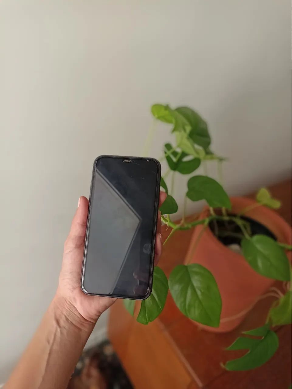 iPhone 11 seminovo  - Foto 2