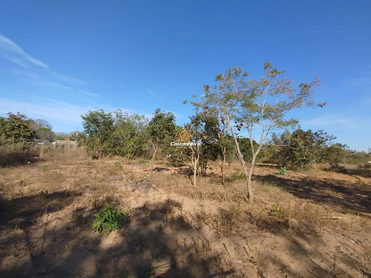 Chácara | Sítio - 4.550 m² - Expansão Sul - Taquari - Foto 2