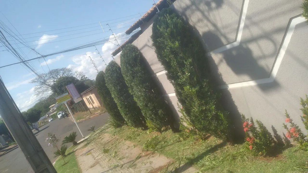 Jardineiro  WhatsApp * - Foto 5
