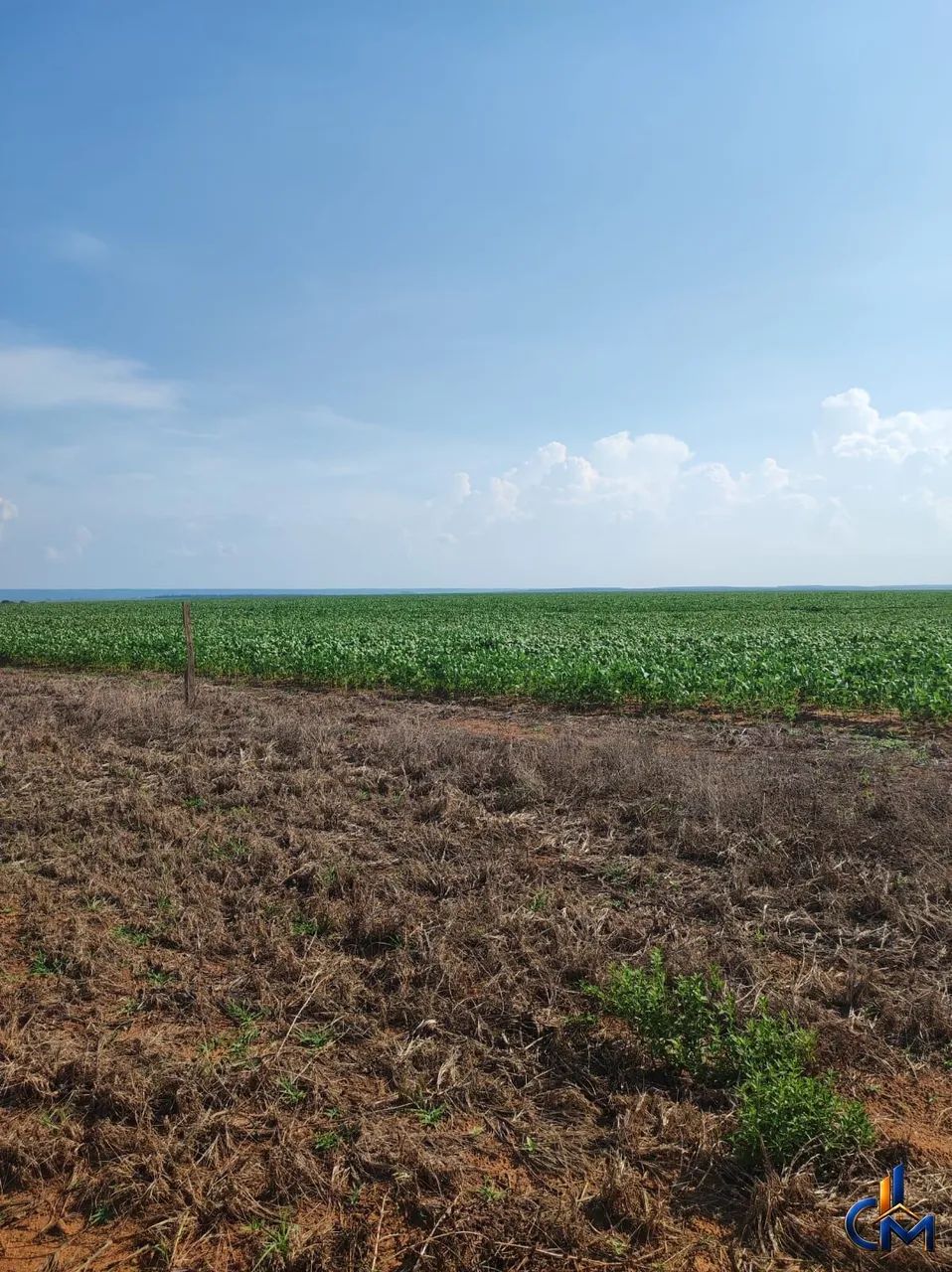 Fazenda a 80KM DE NOVA MUTUM - Foto 4
