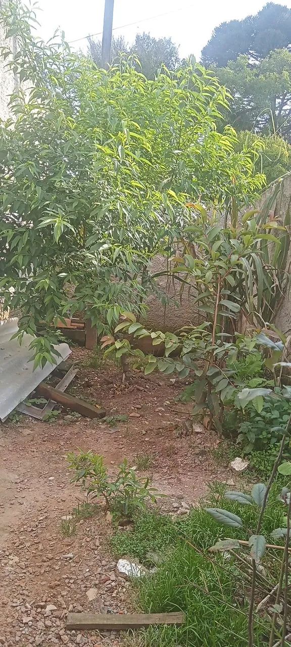 Vendo casa em área rural