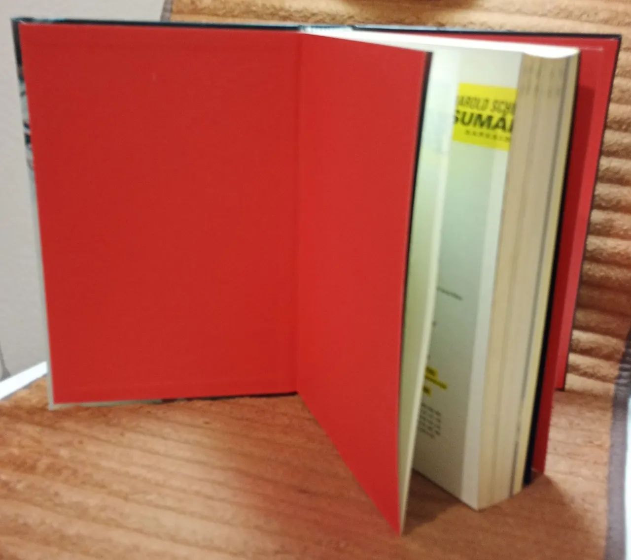 Livro Serial Killes Anatomia do Mal - Foto 4