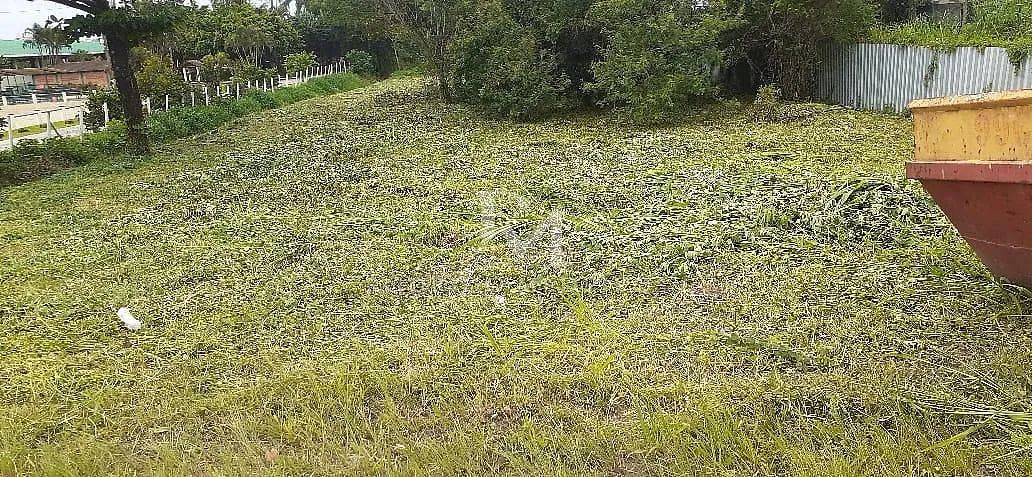 Terreno 2500m² - Foto 4