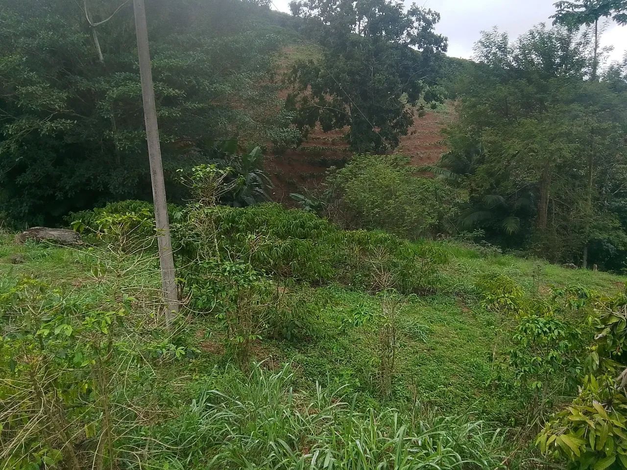 Vende-se lote de terra  - Foto 4