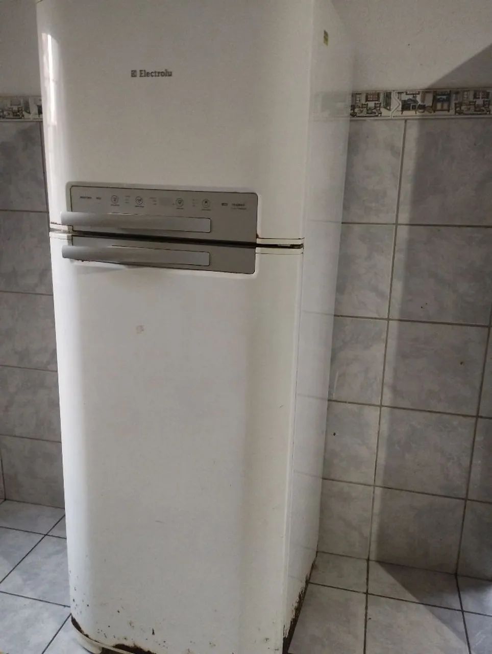 Geladeira Eletrolux DF50