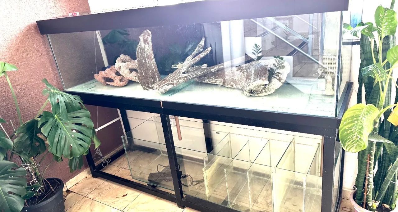 Aquário com móvel e Sump, ( ACEITO TROCA POR TVS OU ALGO DE MEU INTERESSE)