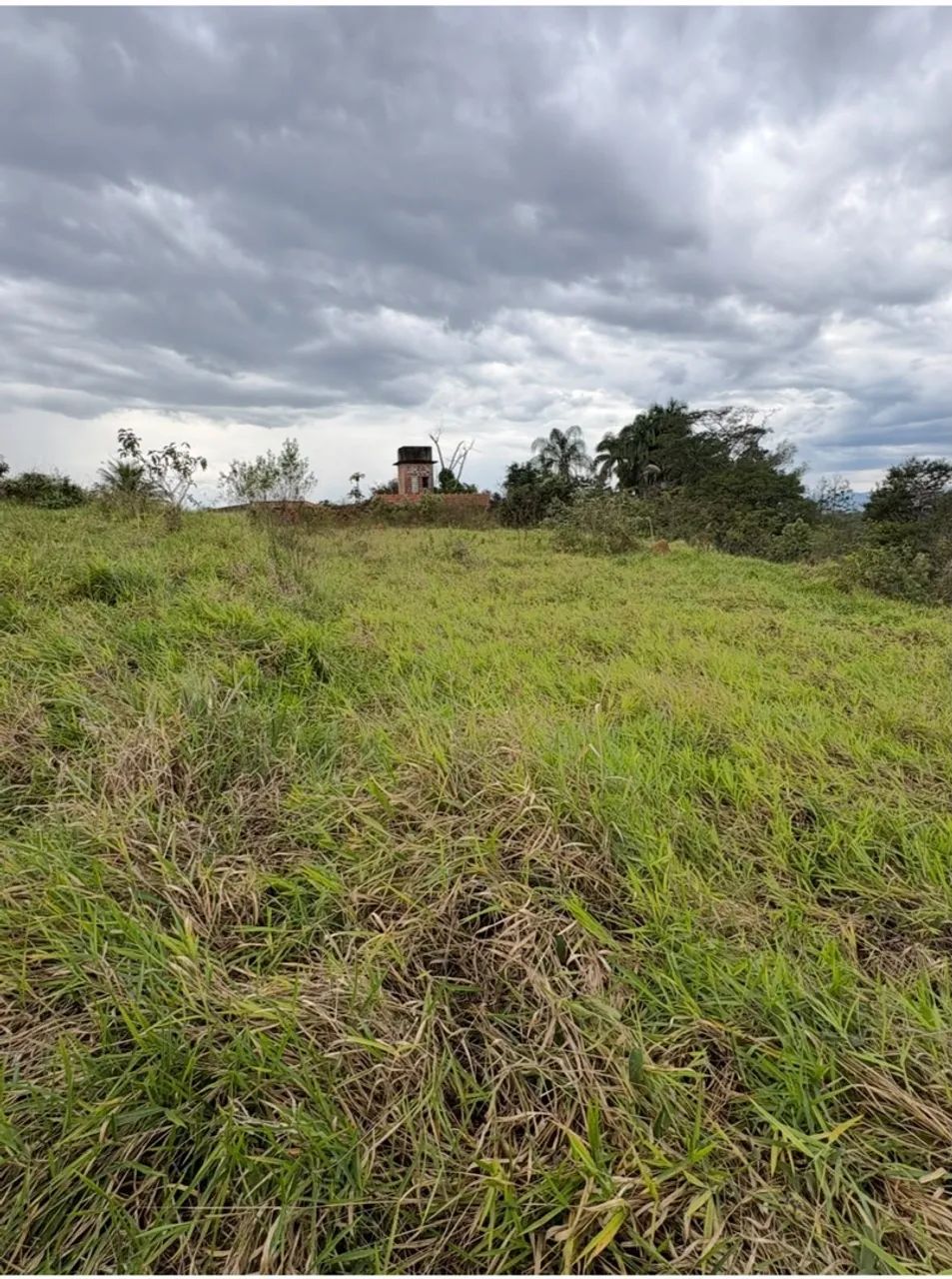Terreno pingo de ouro - Foto 2