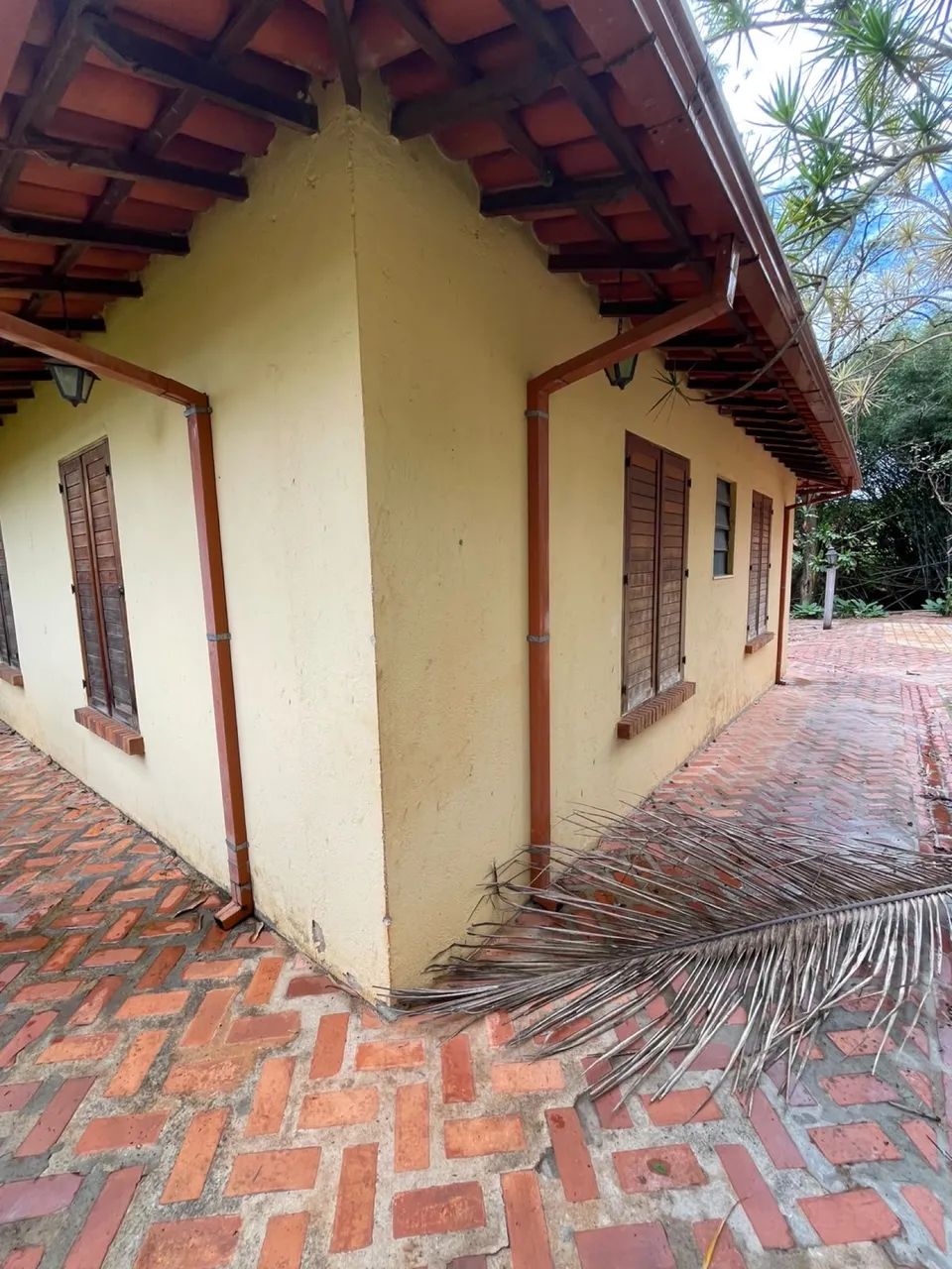 Sítio a Venda Em Mário Campos