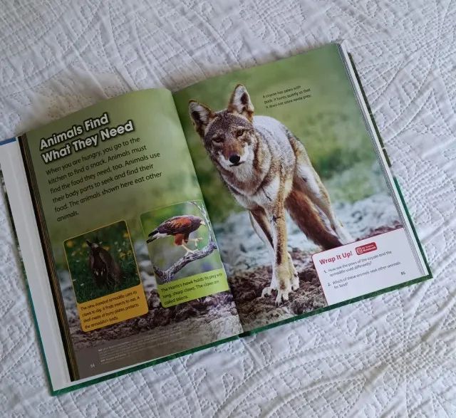 Livro Exploring Science - grade 1 - Foto 4