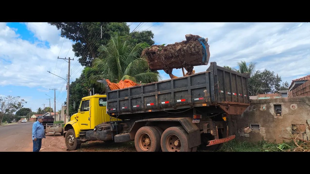 Limpeza de terreno,podas e cortês de árvore. - Foto 3
