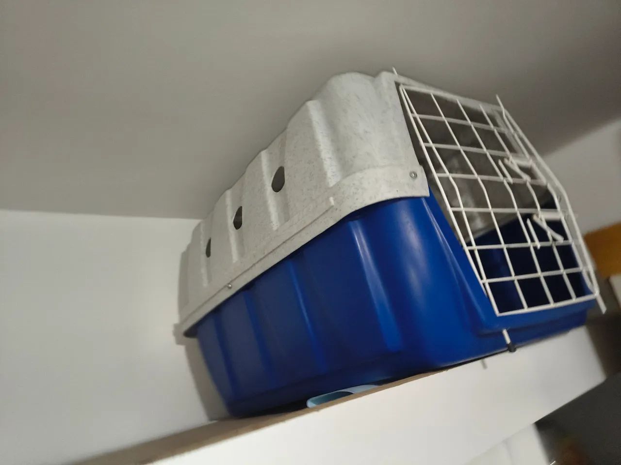 2 Caixas de Pet Grandes - Foto 3