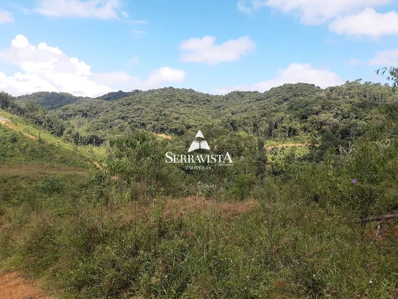 Área para reflorestamento com 57,4 hectares