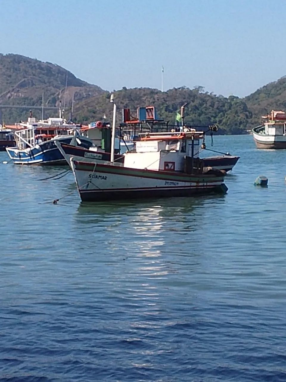 Barco de camarão 