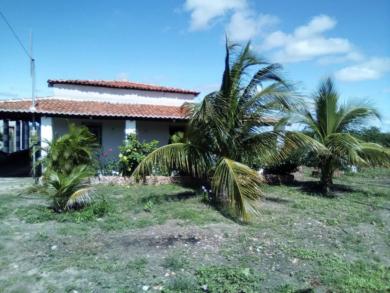 Vendo 