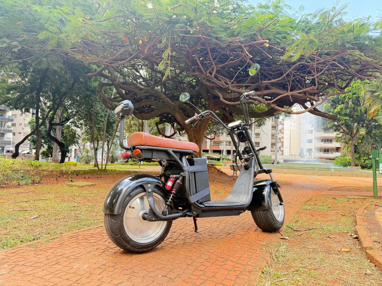 Scooter Elétrica Perfeita!
