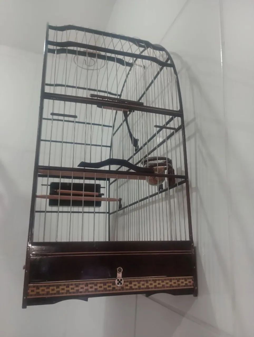Gaiola de luxo top top...  550 reais..