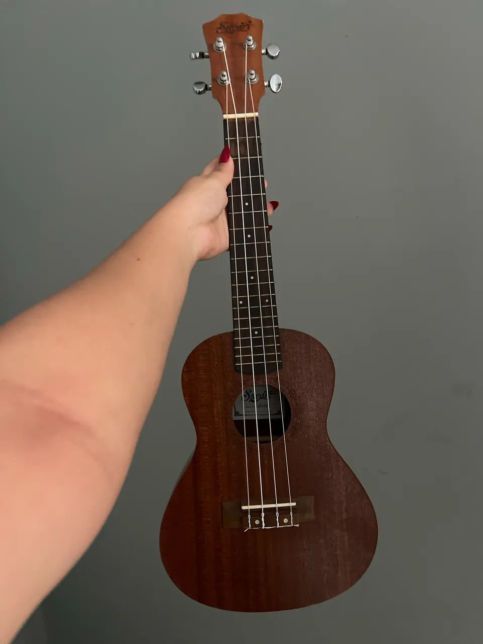 Ukulele spear 
