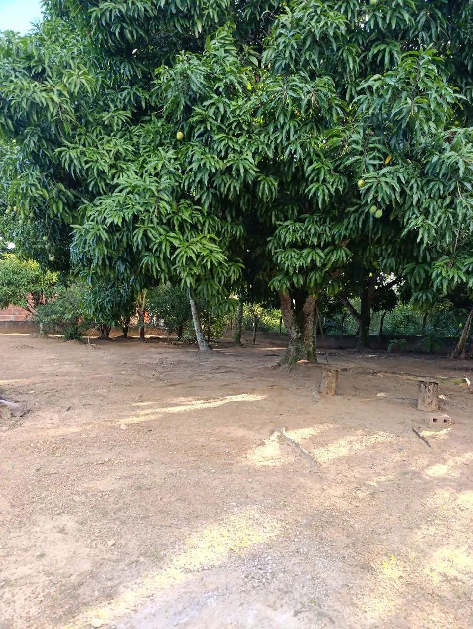 Lindíssima Chácara em um lugar Surreal! - Foto 4