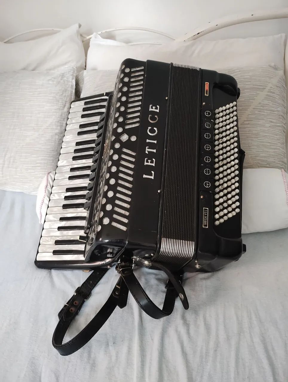 Sanfona mega vI
