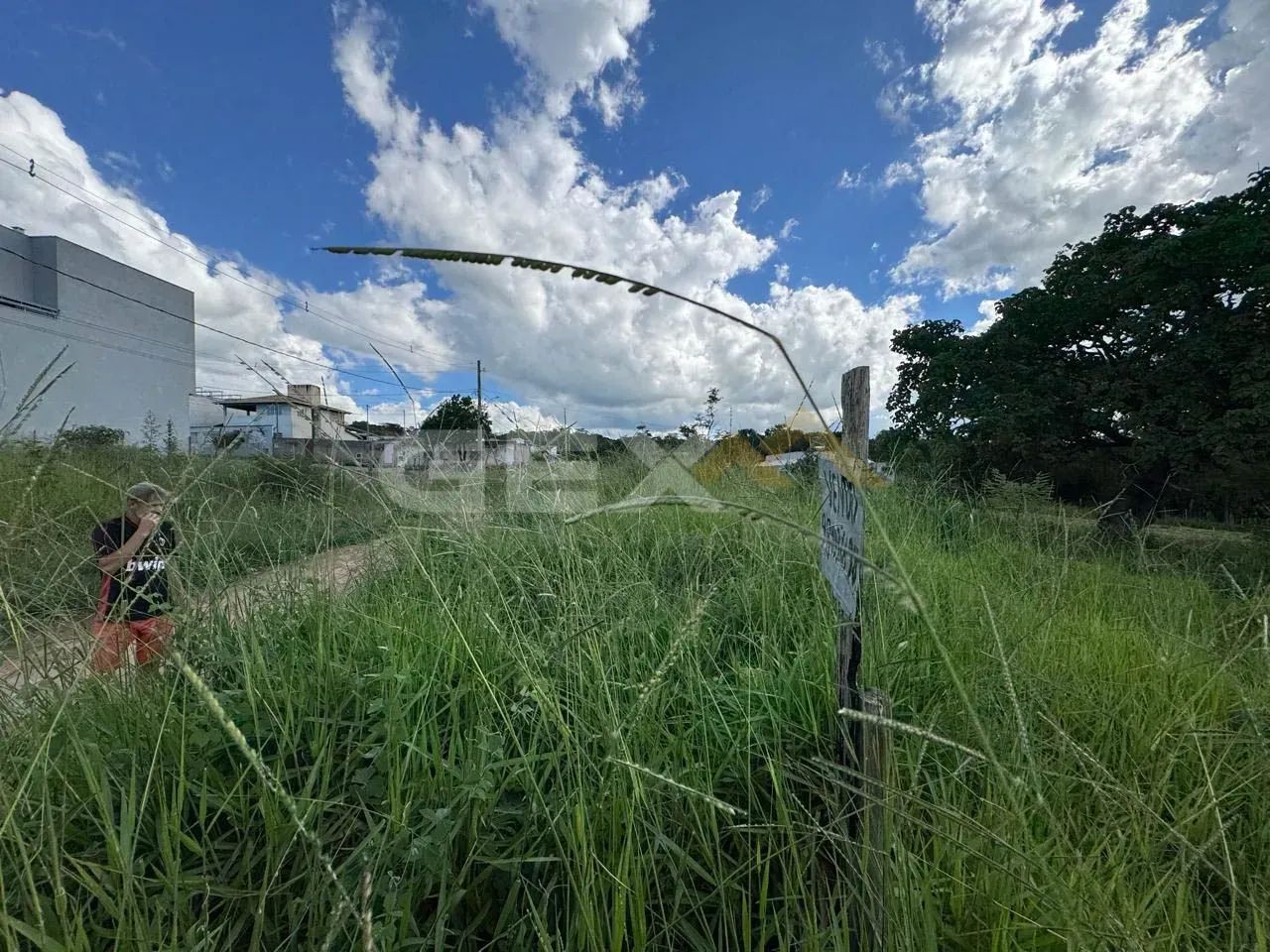 Terreno à Venda com 720m² em Ermida - Foto 2