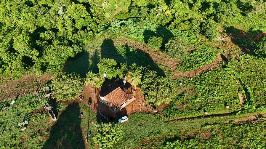 FAZENDA À VENDA - EXCELENTE OPORTUNIDADE - Foto 2