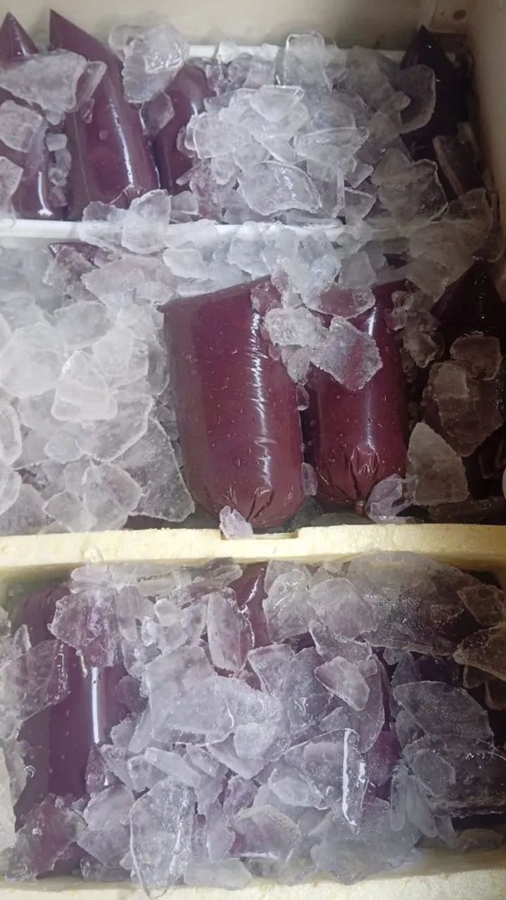 Vende-se Açaí 
