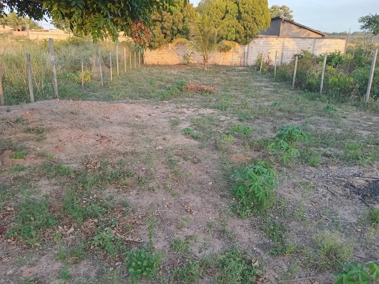 Foto - Santarém - Santarenzinho