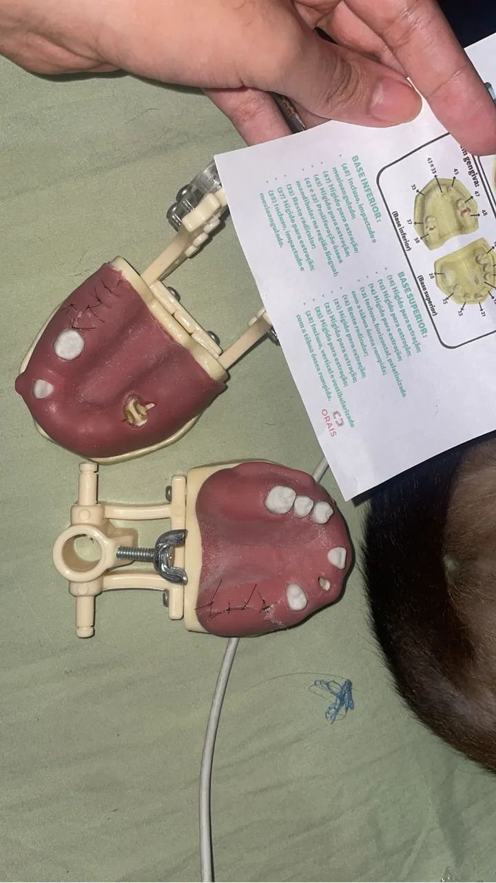 MANEQUIM ODONTOLOGIA  - Foto 3