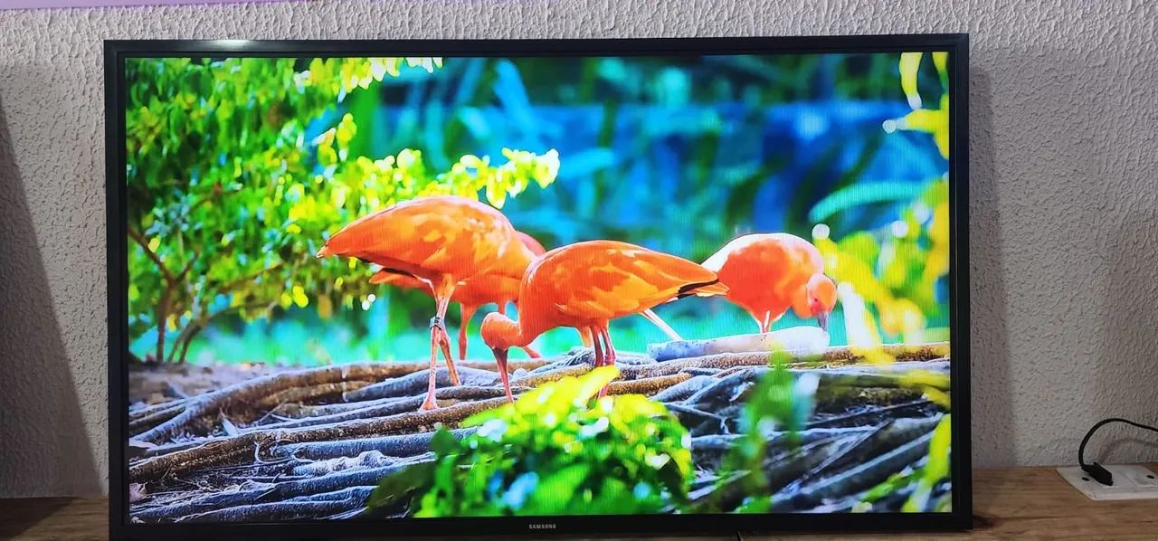 TV 43 polegadas smart com cabo controle todos apss YouTube e Netflix é d mais apss - Foto 2