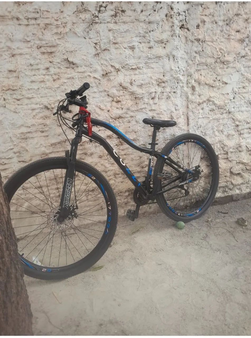 Bicicleta 