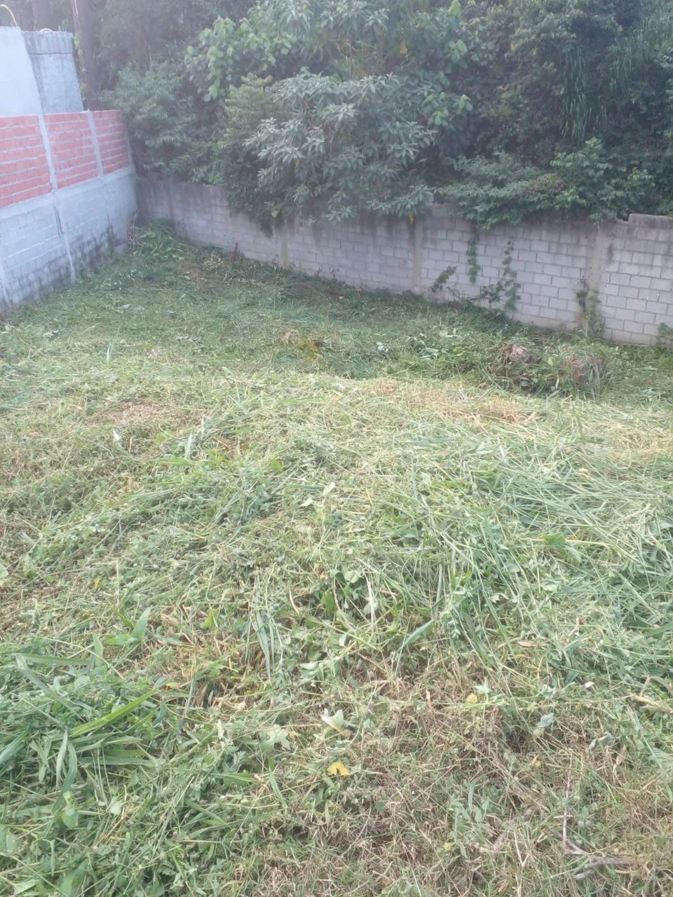 Terreno 12.5 x 22 - Foto 5
