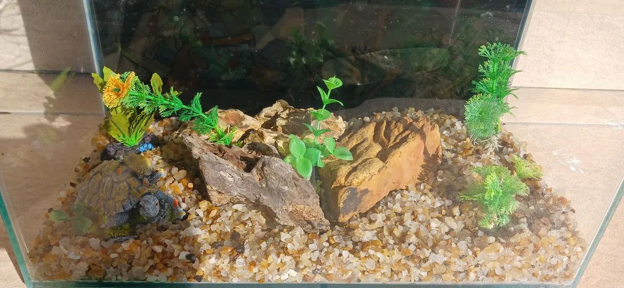 Aquario 13lt - Foto 2