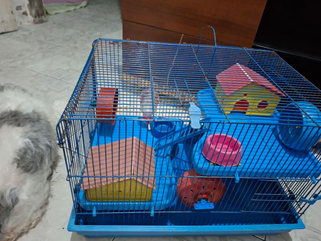 Rodent Cage64962126516227121
