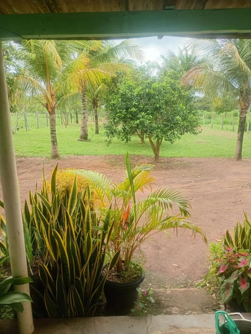 Vende se Chácara  - Foto 2