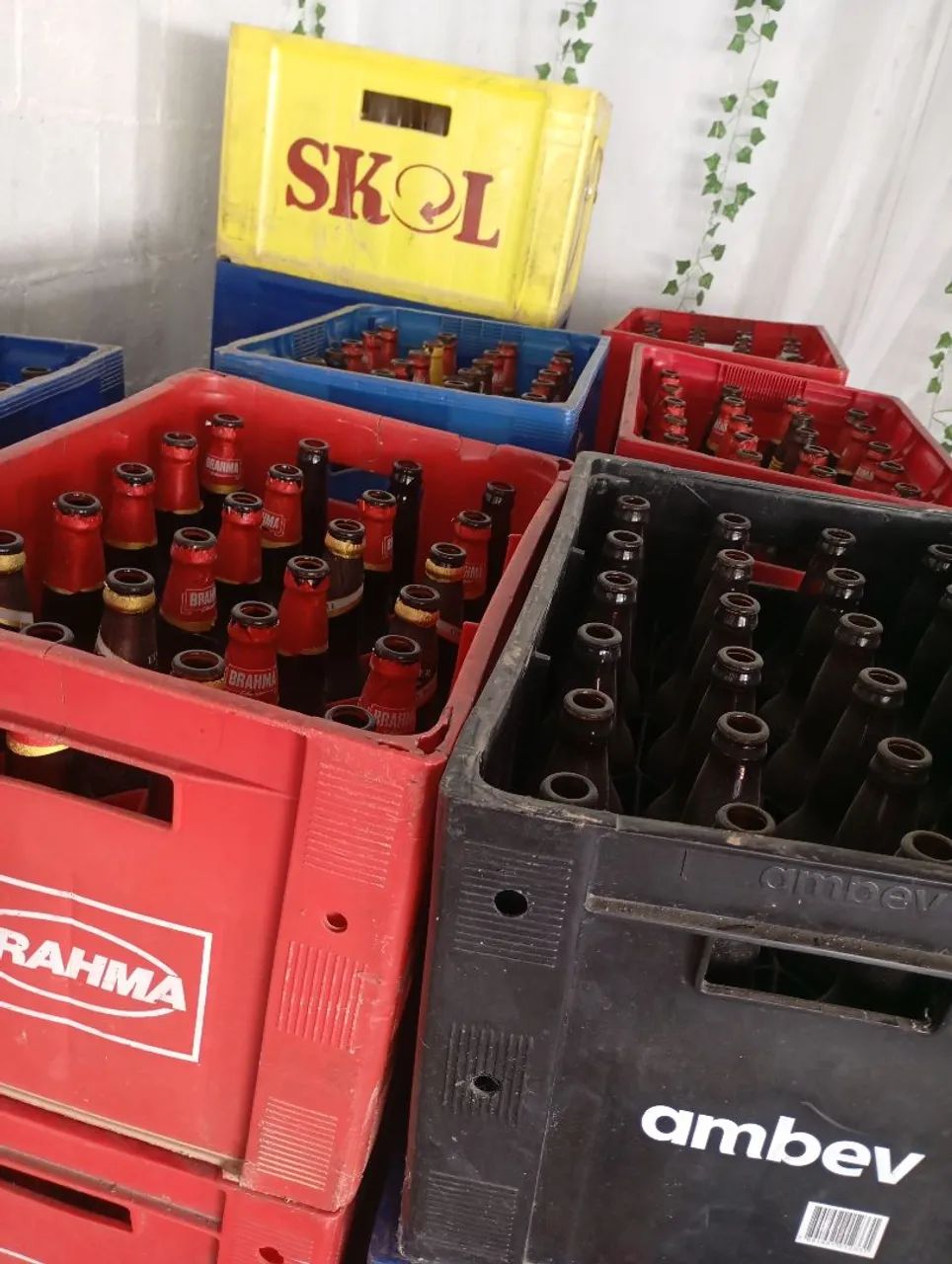 Garrafa 600, Litrão e gordochinha 