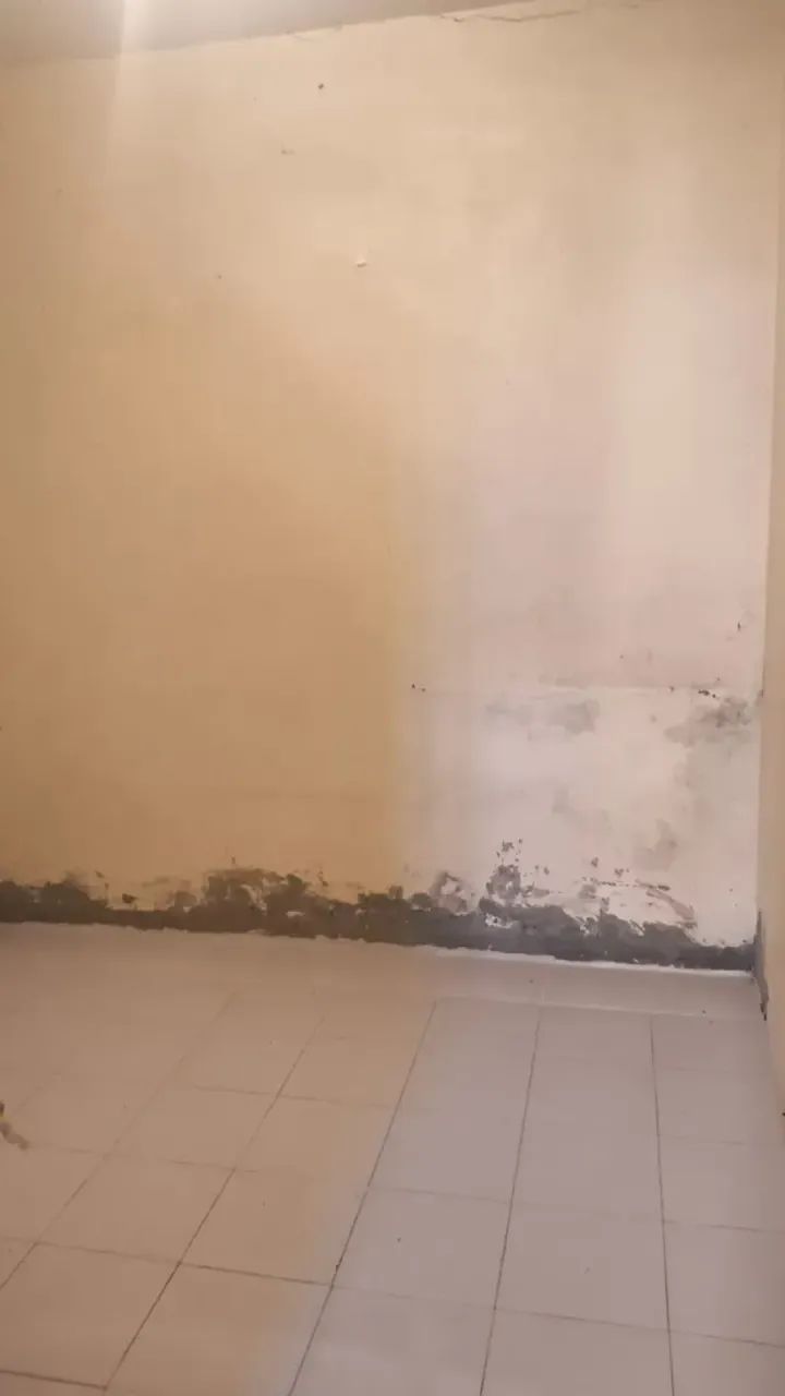 Prédio  Amplo - Foto 4
