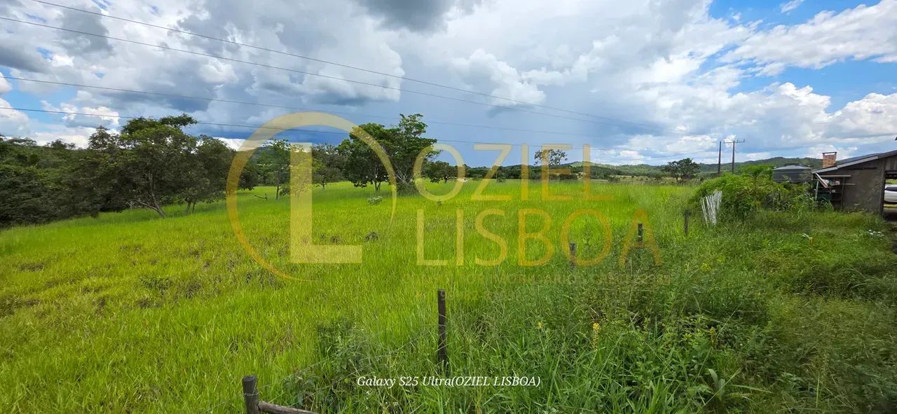 SÍTIO C/ 27 HECTARES ESCRITURADO PORTEIRA FECHADA 52km TAGUATINGA DEPOIS BRAZLÂNDIA BEIRA  - Foto 10