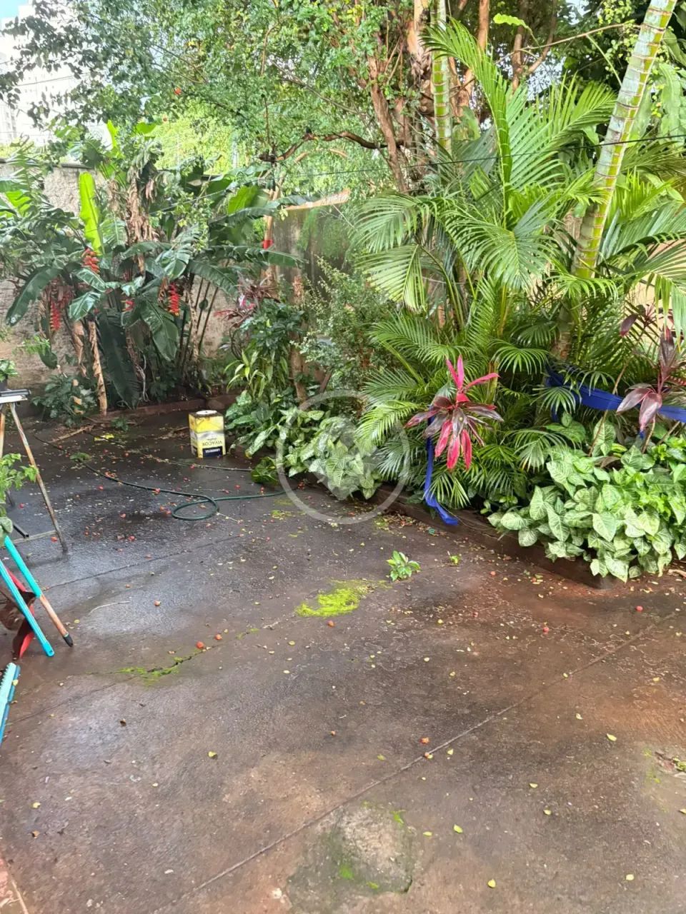 Lote Residencial 388 m2 | Parque Amazonas codigo: 267321