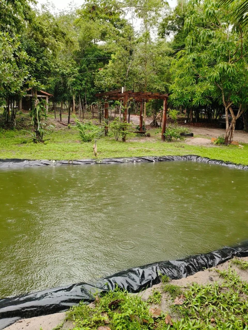 Oportunidade de compra fazenda em Codó  - Foto 4