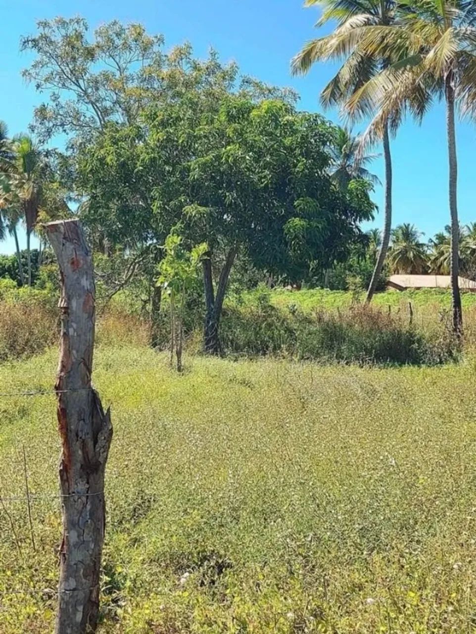 Terreno na Lagoa Funda Beberibe CE - Foto 3