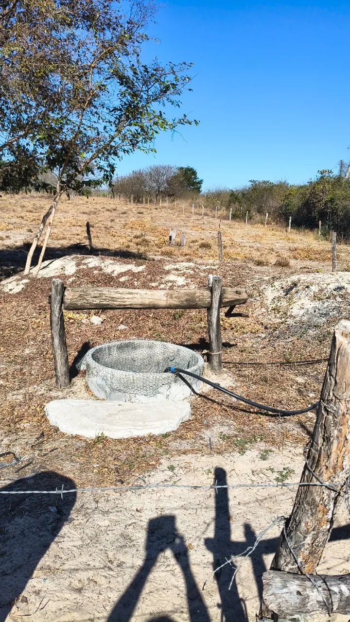 Terra a venda  - Foto 3