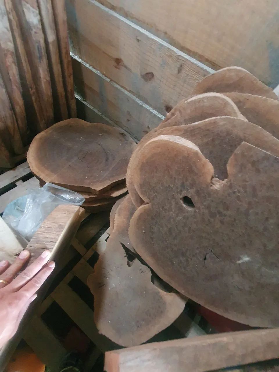Bolachas e pranchas  - Foto 5