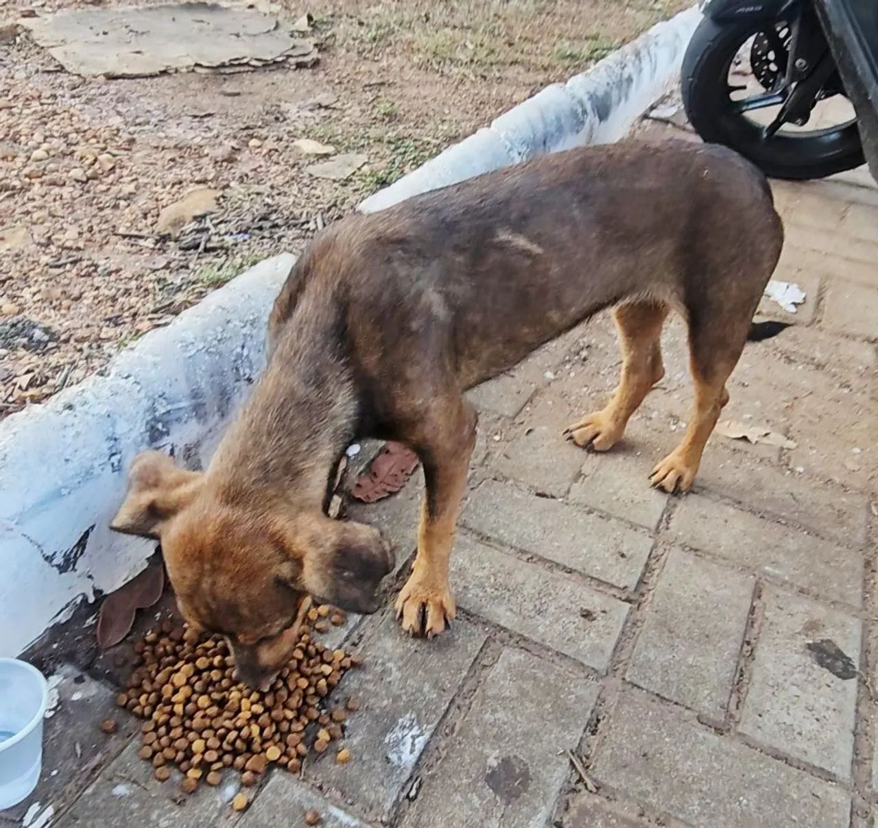 Pedido de ajuda.  - Foto 3