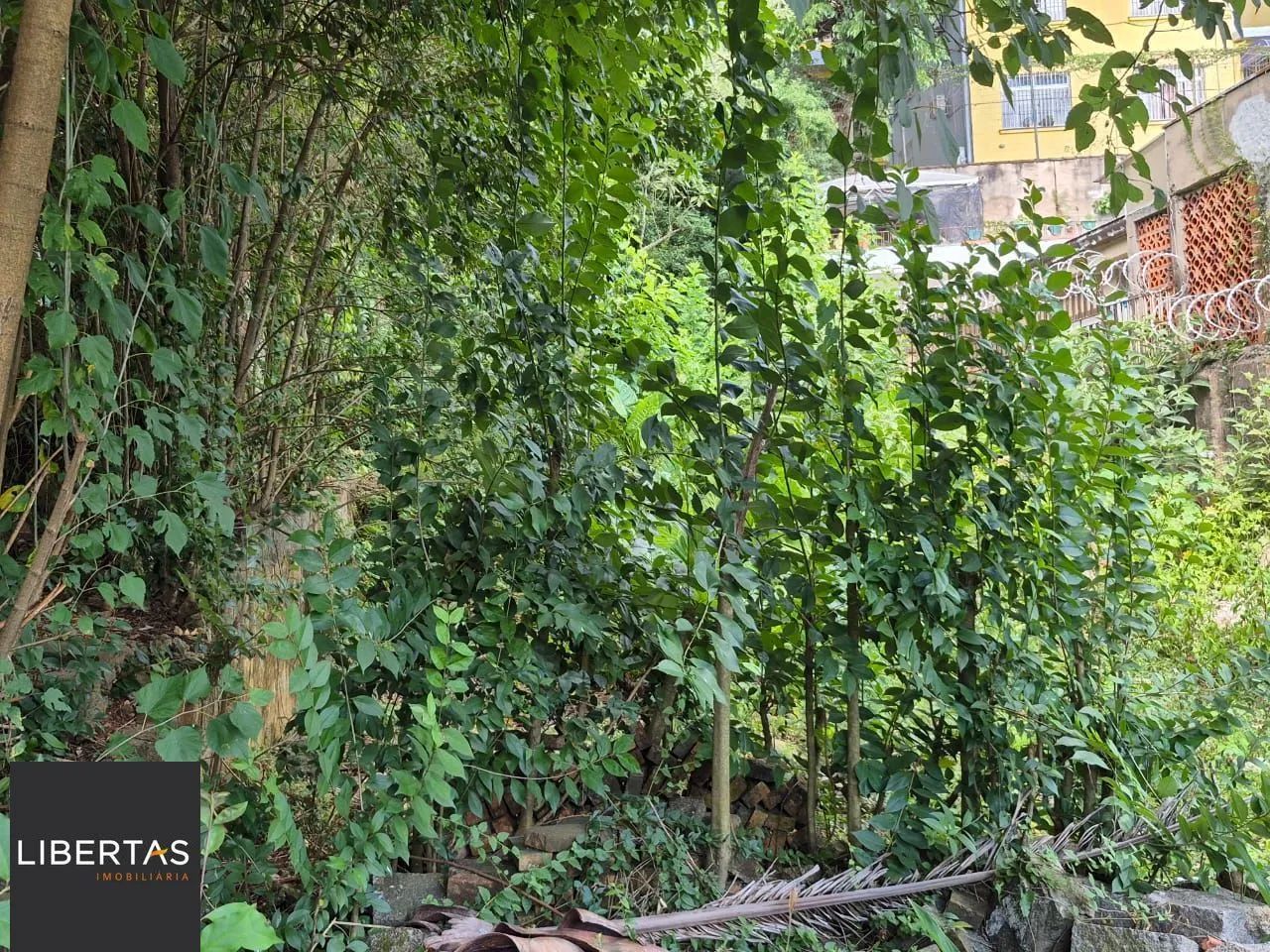 EXCELENTE OPORTUNIDADE DE TERRENO  LOCALIZAÇÃO ESTRATÉGICA! - Foto 8