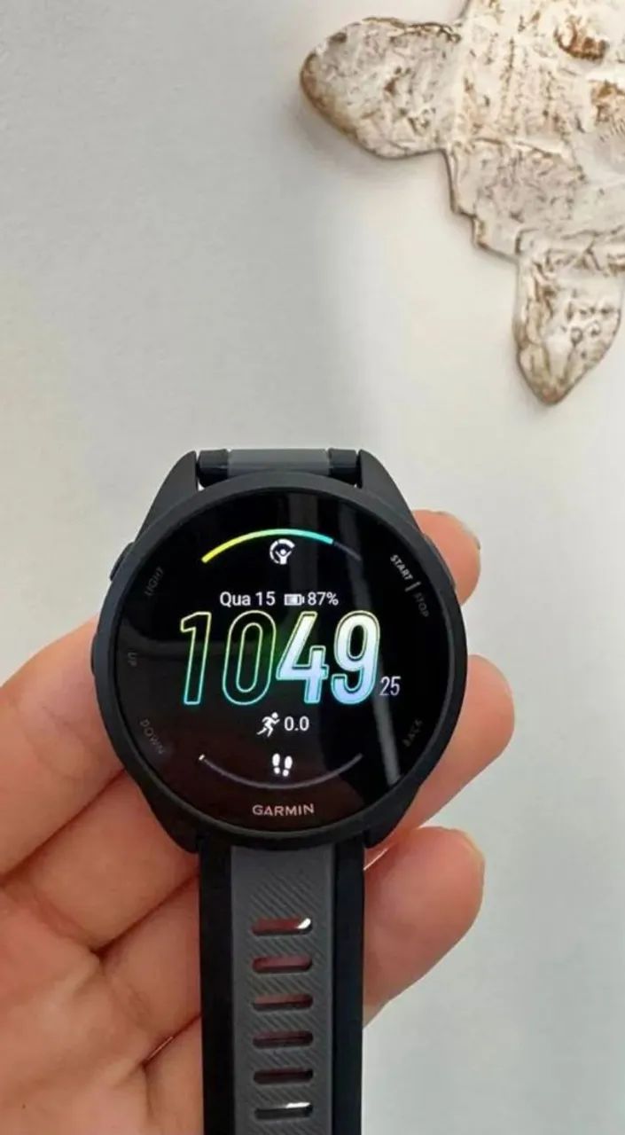 Garmin 165 music 