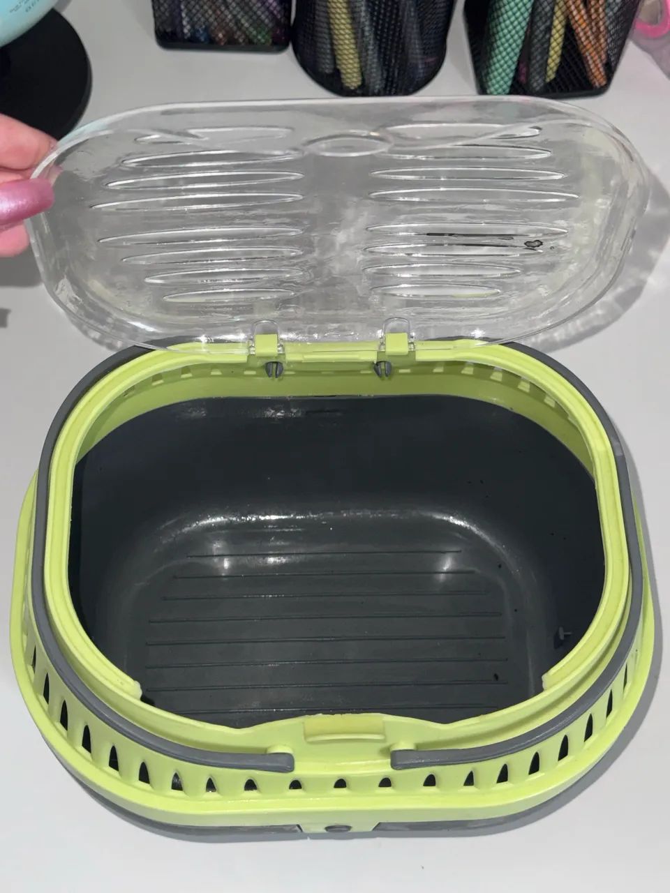 Caixa transporte para porquinho da índia  - Foto 3