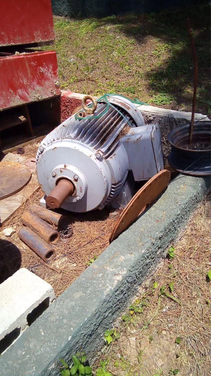 Motor 100 cv Siemens - Foto 2