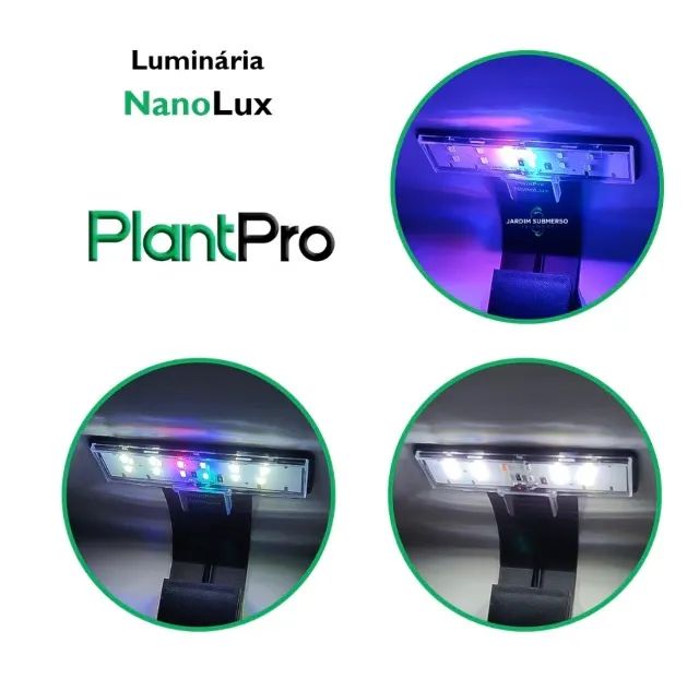Iluminaria  - Foto 4