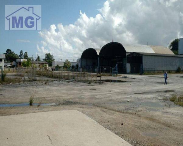 Galpão industrial para locação, lagoa, macaé. - Foto 3