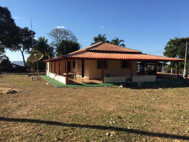 Fazenda 25 Alqueires. Município de Pontalina-GO - Foto 8